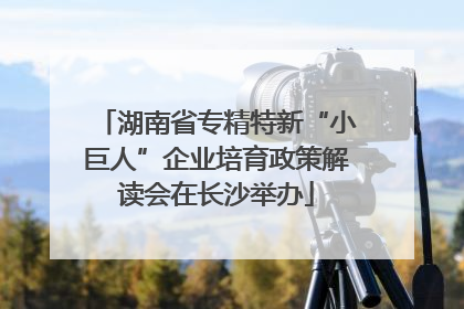 湖南省专精特新“小巨人”企业培育政策解读会在长沙举办
