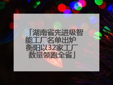 湖南省先进级智能工厂名单出炉 衡阳以32家工厂数量领跑全省