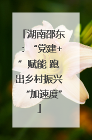 湖南邵东：“党建+”赋能 跑出乡村振兴“加速度”
