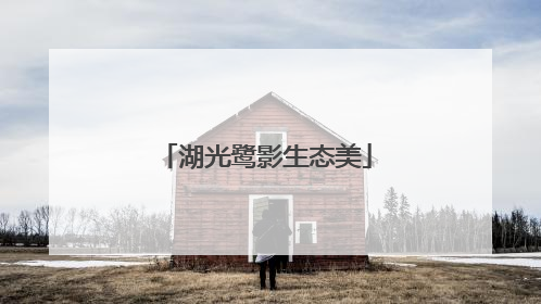 湖光鹭影生态美