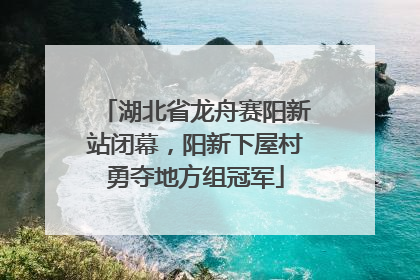 湖北省龙舟赛阳新站闭幕，阳新下屋村勇夺地方组冠军