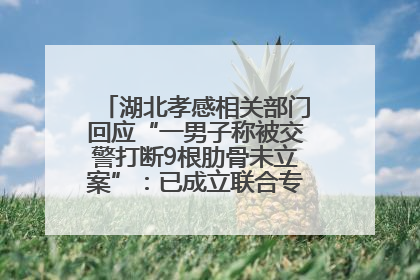 湖北孝感相关部门回应“一男子称被交警打断9根肋骨未立案”：已成立联合专班开展工作