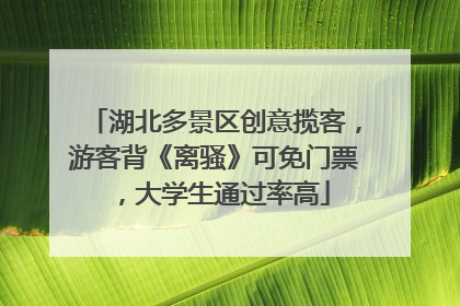 湖北多景区创意揽客，游客背《离骚》可免门票，大学生通过率高
