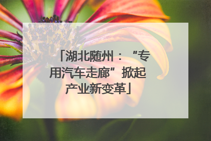 湖北随州：“专用汽车走廊”掀起产业新变革