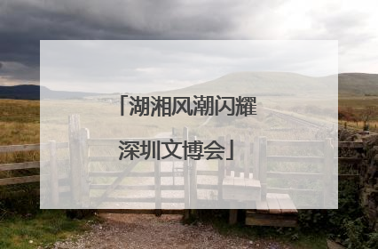 湖湘风潮闪耀深圳文博会