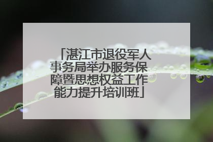 湛江市退役军人事务局举办服务保障暨思想权益工作能力提升培训班