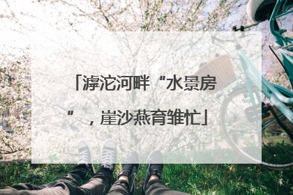滹沱河畔“水景房”，崖沙燕育雏忙