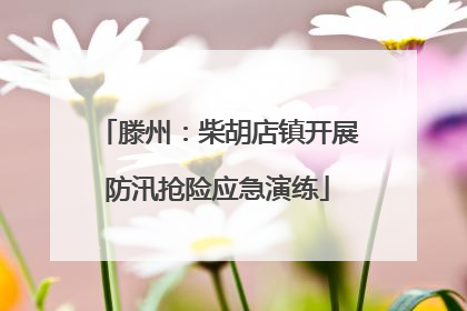 滕州：柴胡店镇开展防汛抢险应急演练