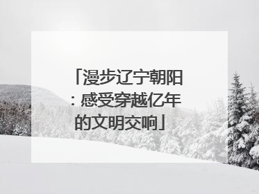 漫步辽宁朝阳：感受穿越亿年的文明交响