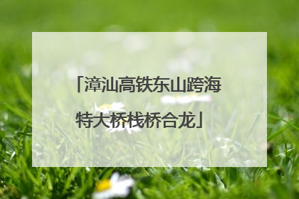 漳汕高铁东山跨海特大桥栈桥合龙
