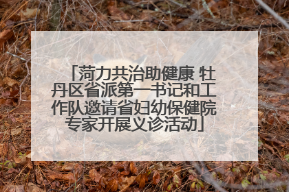 菏力共治助健康 牡丹区省派第一书记和工作队邀请省妇幼保健院专家开展义诊活动