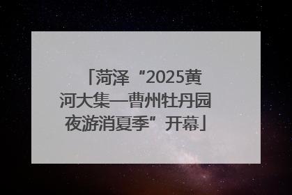 菏泽“2025黄河大集—曹州牡丹园夜游消夏季”开幕