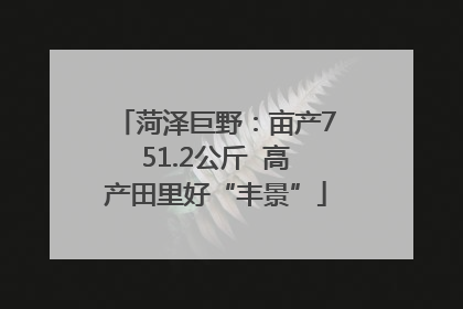 菏泽巨野：亩产751.2公斤  高产田里好“丰景”