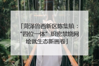 菏泽鲁西新区陈集镇：“四位一体”织密禁烧网 绘就生态新画卷