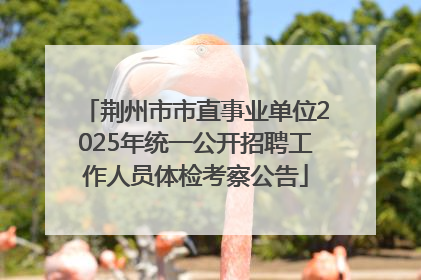 荆州市市直事业单位2025年统一公开招聘工作人员体检考察公告