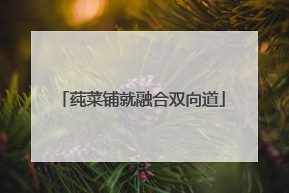 莼菜铺就融合双向道