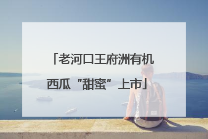 老河口王府洲有机西瓜“甜蜜”上市