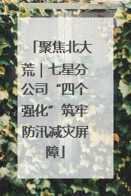 聚焦北大荒｜七星分公司“四个强化”筑牢防汛减灾屏障