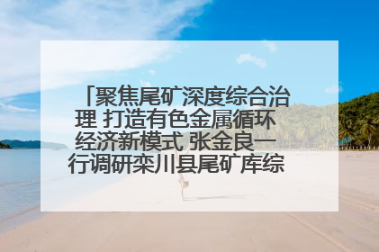 聚焦尾矿深度综合治理 打造有色金属循环经济新模式 张金良一行调研栾川县尾矿库综合治理工作