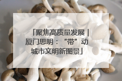 聚焦高质量发展｜厦门思明：“带”动城市文明新图景