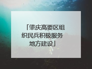 肇庆高要区组织民兵积极服务地方建设