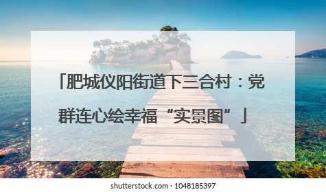 肥城仪阳街道下三合村：党群连心绘幸福“实景图”