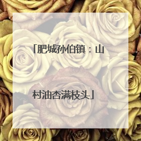 肥城孙伯镇：山村油杏满枝头