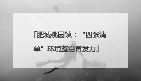 肥城桃园镇：“四张清单”环境整治再发力