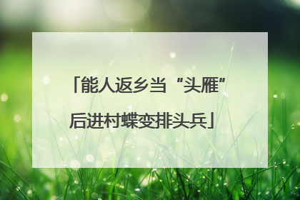 能人返乡当“头雁” 后进村蝶变排头兵