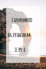 胡勇刚带队开展巡林工作