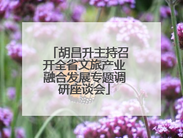 胡昌升主持召开全省文旅产业融合发展专题调研座谈会