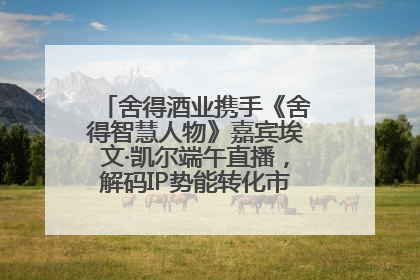舍得酒业携手《舍得智慧人物》嘉宾埃文·凯尔端午直播，解码IP势能转化市场销量的有效路径
