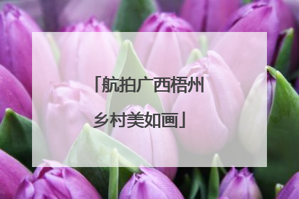 航拍广西梧州乡村美如画