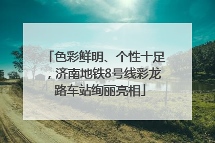 色彩鲜明、个性十足，济南地铁8号线彩龙路车站绚丽亮相
