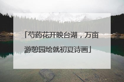 芍药花开映台湖，万亩游憩园绘就初夏诗画
