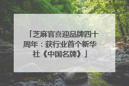 芝麻官喜迎品牌四十周年：获行业首个新华社《中国名牌》