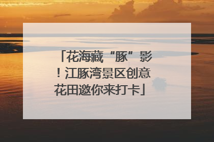 花海藏“豚”影！江豚湾景区创意花田邀你来打卡