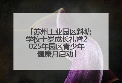 苏州工业园区斜塘学校十岁成长礼暨2025年园区青少年健康月启动