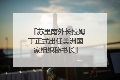 苏里南外长拉姆丁正式出任美洲国家组织秘书长