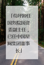 苟坪卸任国务院国资委副主任，已任中国星网集团董事长