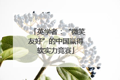 英学者：“微笑友好”的中国赢得软实力竞赛