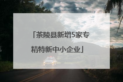 茶陵县新增5家专精特新中小企业