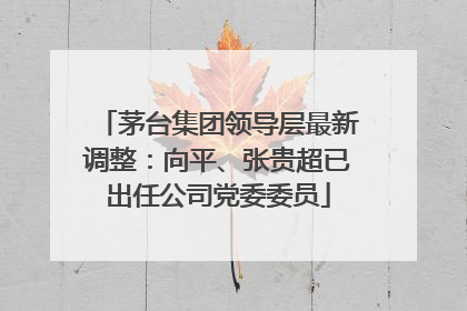 茅台集团领导层最新调整：向平、张贵超已出任公司党委委员
