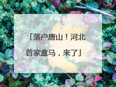 落户唐山!河北首家盒马,来了