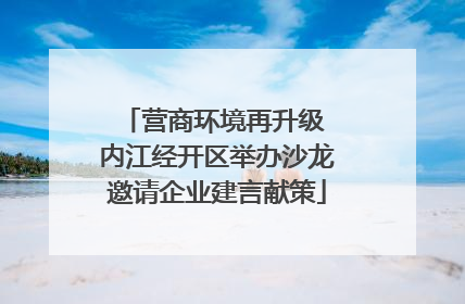 营商环境再升级 内江经开区举办沙龙邀请企业建言献策