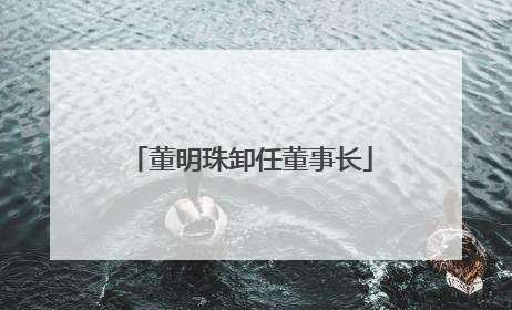 董明珠卸任董事长