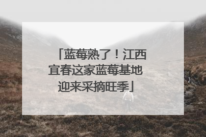 蓝莓熟了！江西宜春这家蓝莓基地迎来采摘旺季