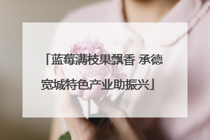 蓝莓满枝果飘香 承德宽城特色产业助振兴