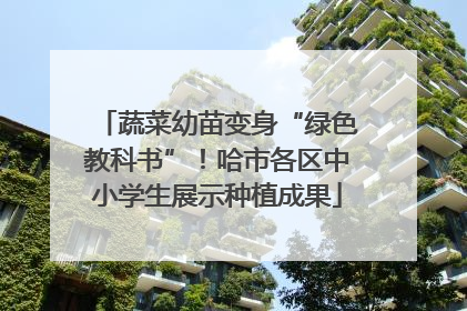 蔬菜幼苗变身“绿色教科书”！哈市各区中小学生展示种植成果