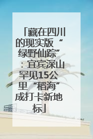 藏在四川的现实版“绿野仙踪”：宜宾深山罕见15公里“稻海”成打卡新地标
